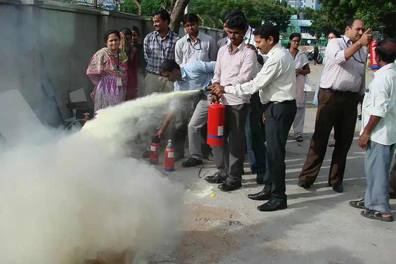 Pest control services