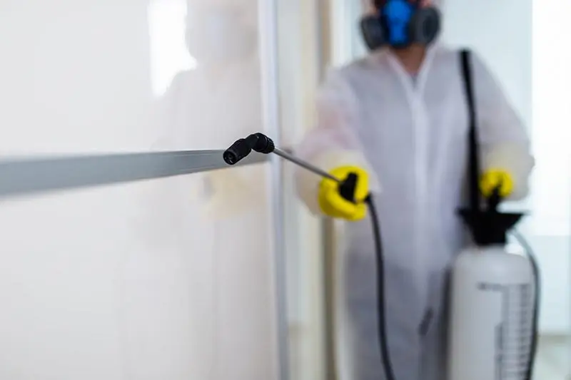 RDS Pest Control services